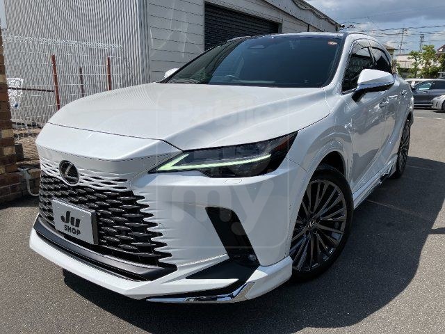 2024 LEXUS RX h Ver. L Mark Levinson Modellista Aero Part