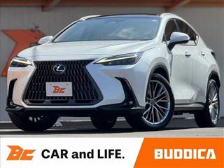 2023 LEXUS NX NX250 Version L ★Mid-term model★PR★D-mirror★14-inch navigation