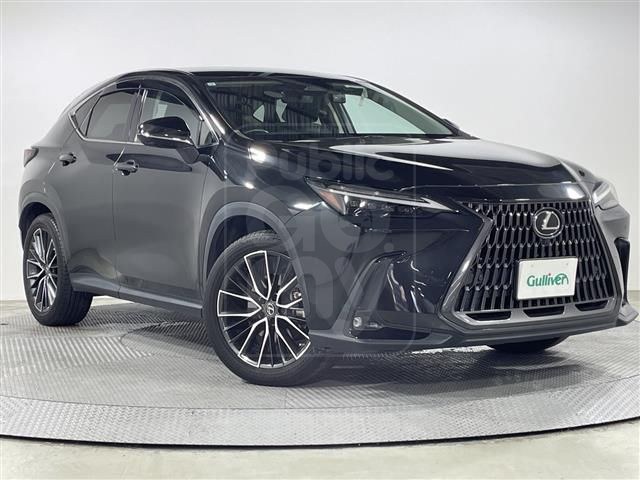 2021 LEXUS NX 250 Version L