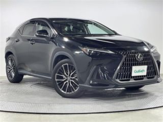 2021 LEXUS NX 250 Version L