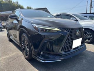 2021 LEXUS NX 250 Version L