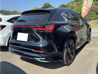 2021 LEXUS NX 250 Version L photo 3