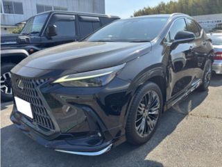 2021 LEXUS NX 250 Version L photo 2