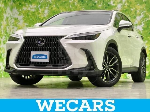 2023 LEXUS NX NX250 Version L