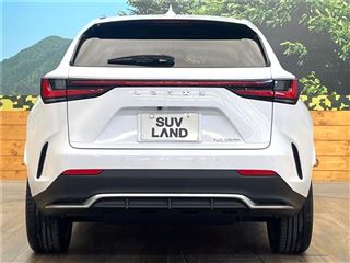2023 LEXUS NX NX350h F Sport photo 5
