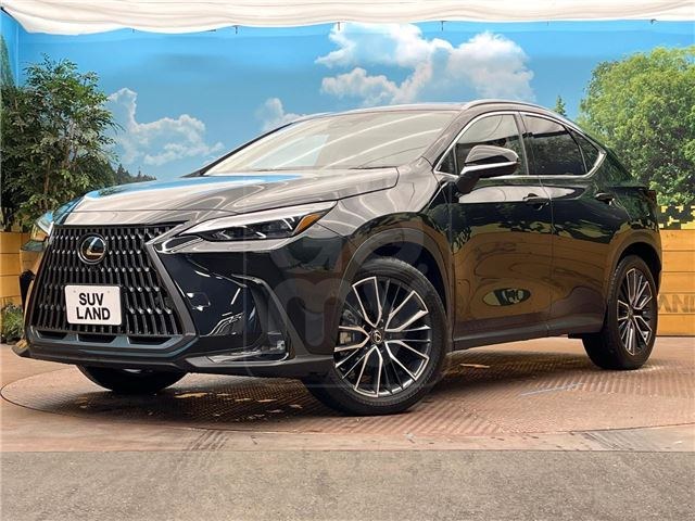 2021 LEXUS NX NX350h Version L