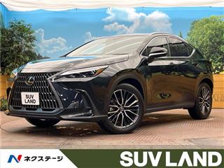 2021 LEXUS NX NX350h Version L photo 4