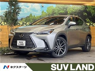 2022 LEXUS NX NX350h Version L photo 4