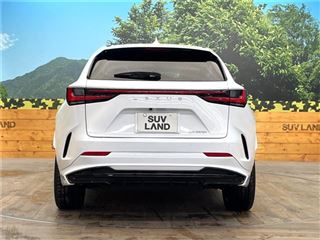 2024 LEXUS NX NX350h F Sport photo 5