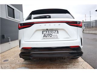 2024 LEXUS NX 350h F Sport photo 2