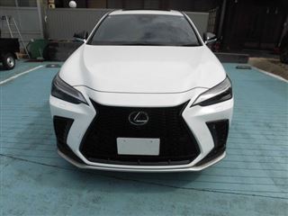 2025 LEXUS NX NX350h F Sport