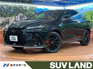2025 LEXUS NX NX350h F Sport photo 4