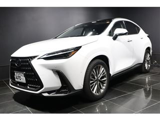 2025 LEXUS NX 350h Version L