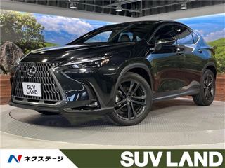 2023 LEXUS NX NX350h Version L photo 4