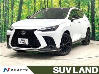 2025 LEXUS NX NX350h F Sport photo 4