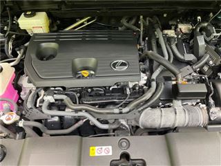 2022 LEXUS NX NX350h Version L photo 5