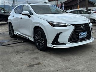 2025 LEXUS NX NX350h version L photo 3