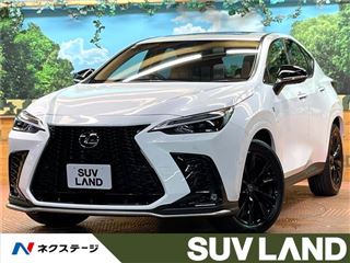 2025 LEXUS NX NX350h F Sport photo 4