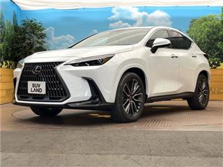 2026 LEXUS NX NX350h Version L photo 5