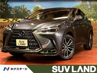 2026 LEXUS NX NX350h photo 4