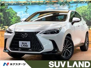 2023 LEXUS NX NX350h Version L photo 4