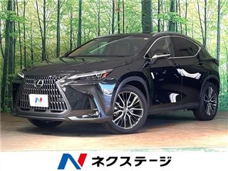 2023 LEXUS NX NX350h Version L photo 4