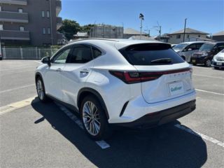 2022 LEXUS NX 350h Version L photo 2