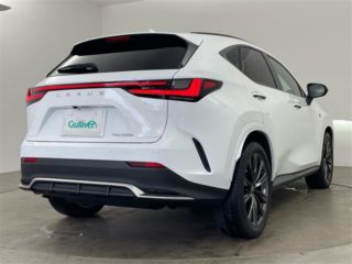 2021 LEXUS NX 350h F Sport photo 5