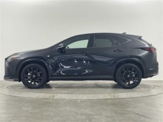 2024 LEXUS NX 350h F Sport photo 3