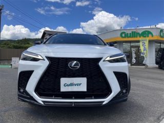 2025 LEXUS NX 350h F Sport photo 4