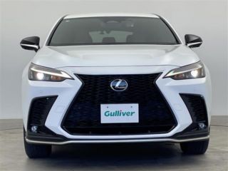 2023 LEXUS NX 350h F Sport photo 3
