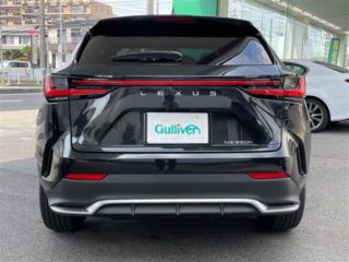 2025 LEXUS NX 350h F Sport photo 5