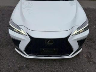 2024 LEXUS NX 350h F Sport photo 3