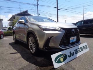 2021 LEXUS NX 350H Version L photo 3