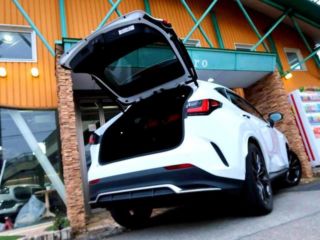 2021 LEXUS NX photo 3