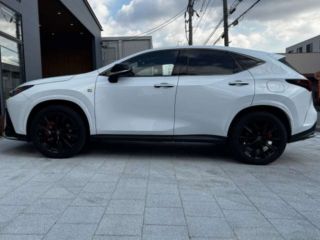 2022 LEXUS NX NX350H F Sport photo 4
