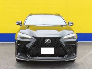 2024 LEXUS NX NX350h F Sport photo 4