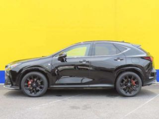 2024 LEXUS NX NX350h F Sport photo 3