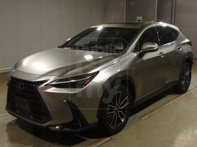 2023 LEXUS NX NX350h Version L