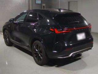 2025 LEXUS NX NX350h F Sport photo 4