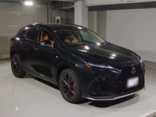 2025 LEXUS NX NX350h F Sport photo 3