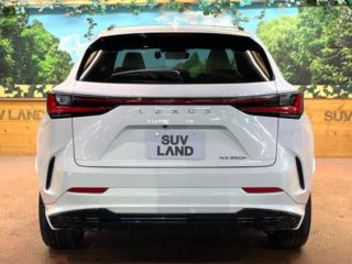 2024 LEXUS NX NX350h F Sport photo 2