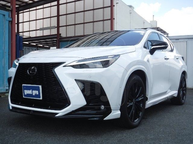 2024 LEXUS NX h F Sport