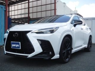 2024 LEXUS NX h F Sport