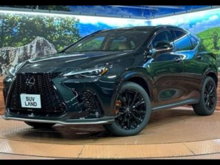 2025 LEXUS NX NX350h F Sport