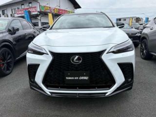 2025 LEXUS NX 350h F Sport photo 2