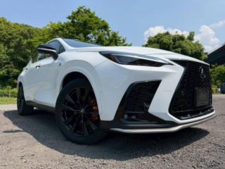 2023 LEXUS NX 350h F Sport photo 2