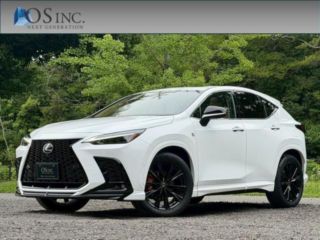 2024 LEXUS NX 350h / F Sport / Brown Leather