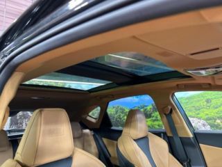 2025 LEXUS NX NX350h F Sport photo 3