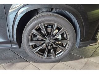2023 LEXUS NX NX350h F Sport User Purchase photo 3